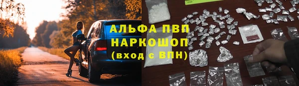 шишки Алексеевка