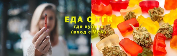 индика Алексин