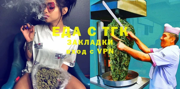 индика Алексин