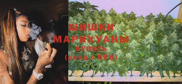 ECSTASY Алзамай