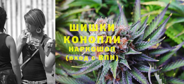 шишки Алексеевка