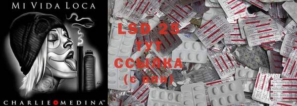 ECSTASY Алзамай