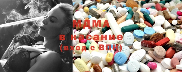 индика Алексин