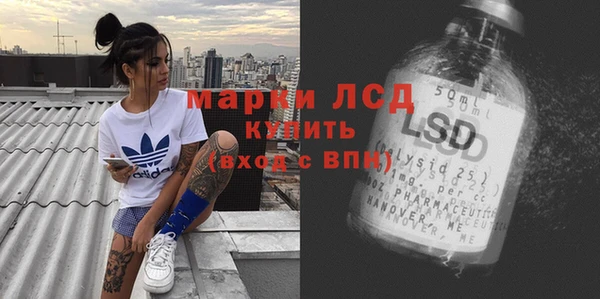 индика Алексин
